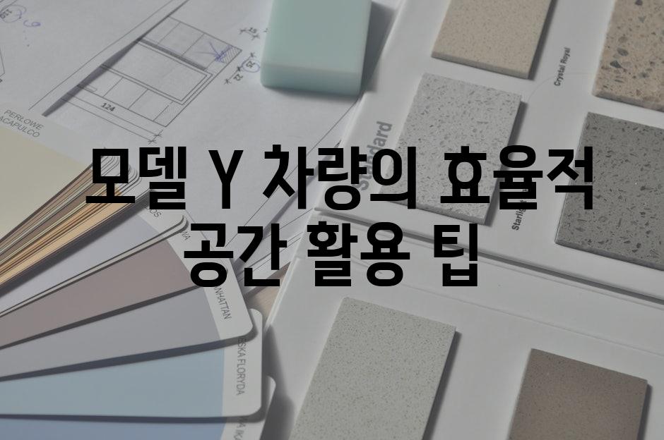  모델 Y 차량의 효율적 공간 활용 팁