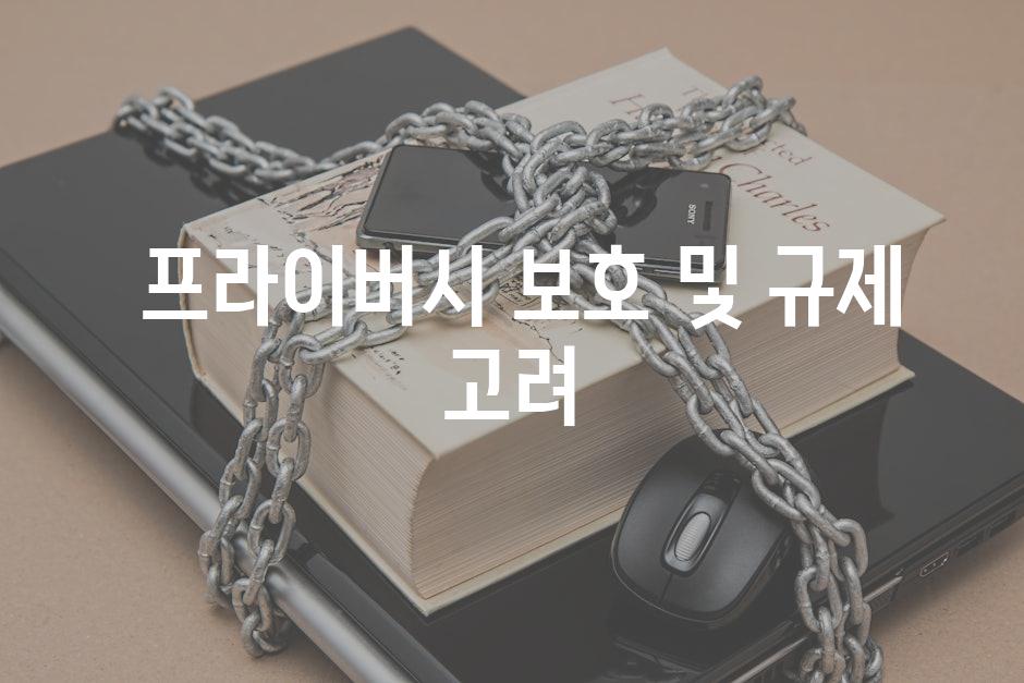  프라이버시 보호 및 규제 고려