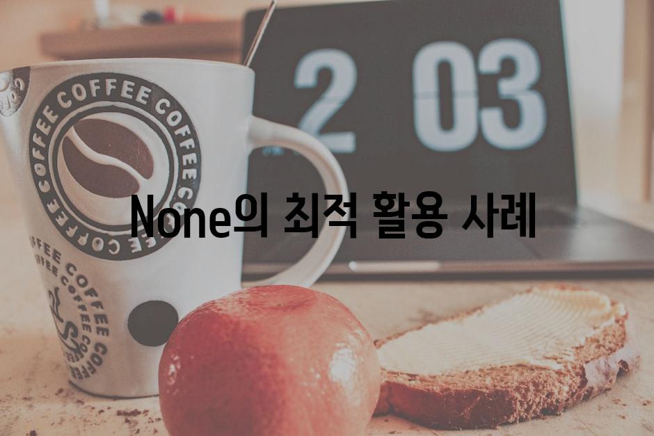  None의 최적 활용 사례