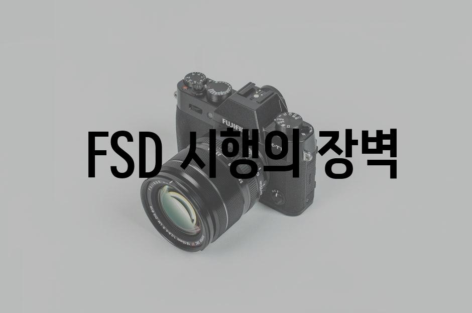 FSD 시행의 장벽