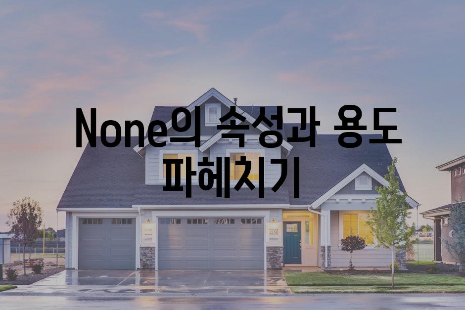 None의 속성과 용도 파헤치기