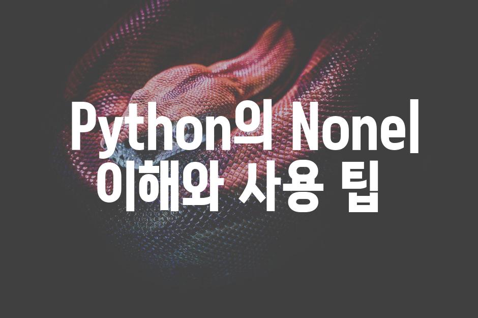  Python의 None| 이해와 사용 팁