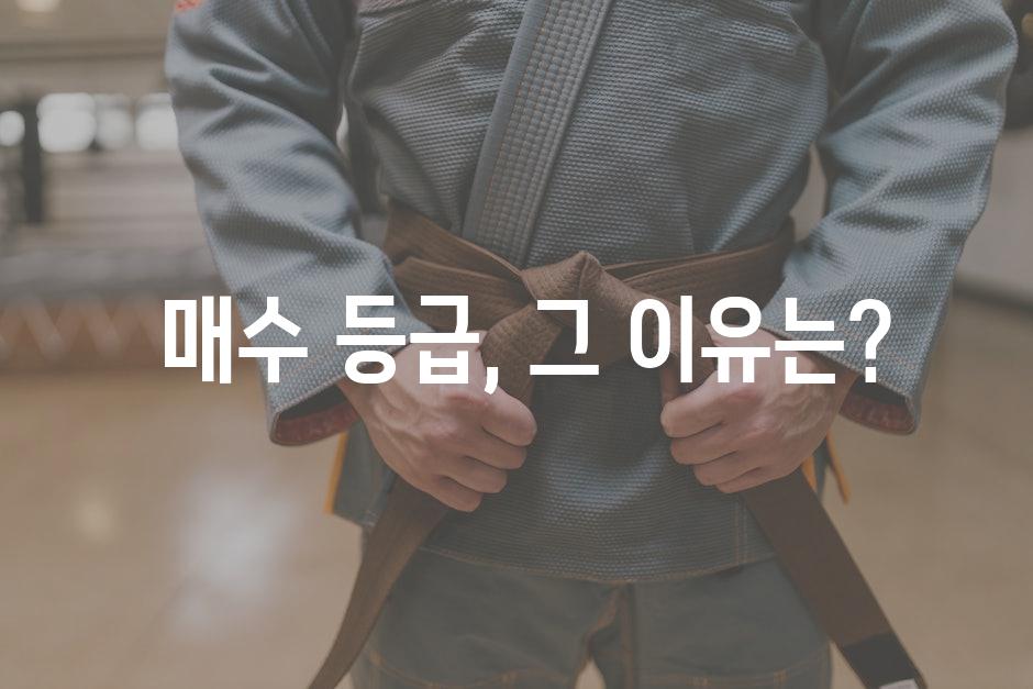  매수 등급, 그 이유는?