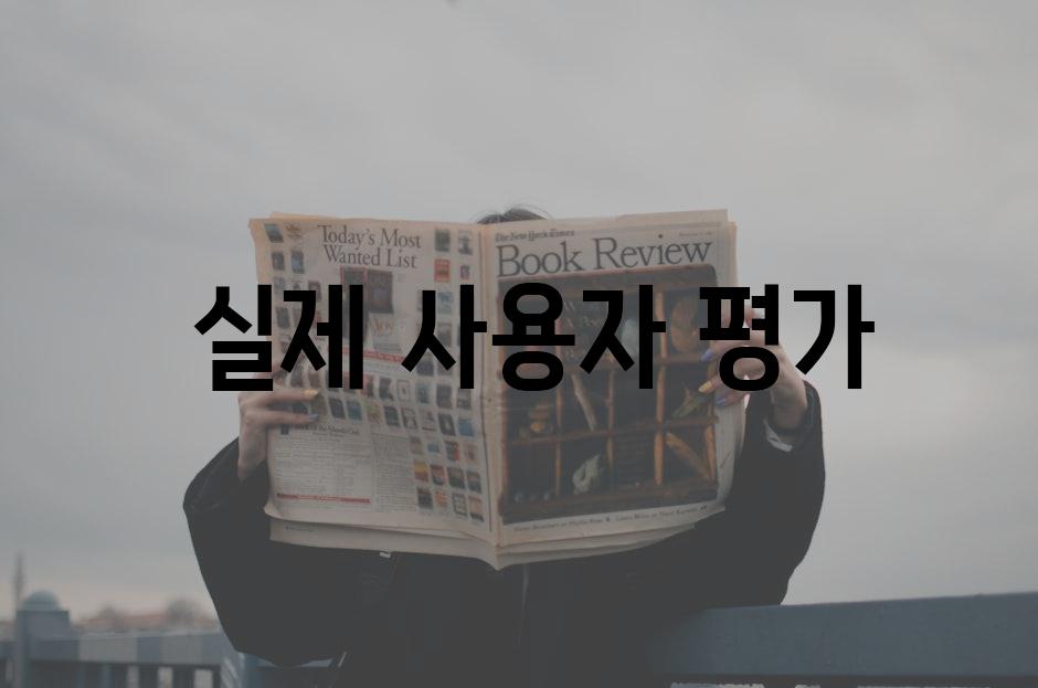  실제 사용자 평가