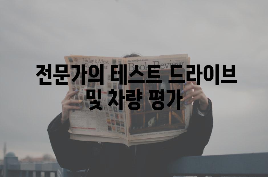  전문가의 테스트 드라이브 및 차량 평가