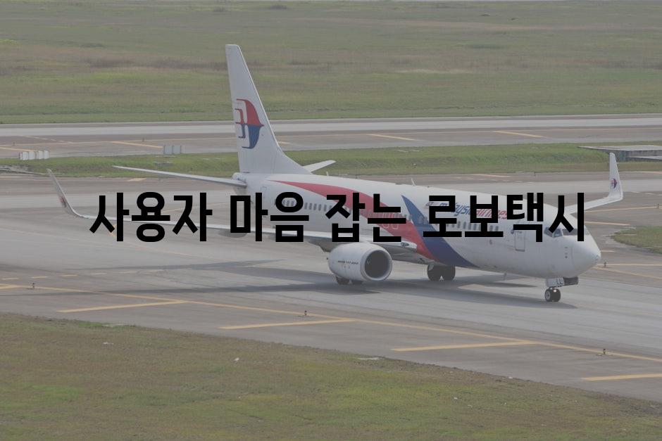 자율주행택시_설명