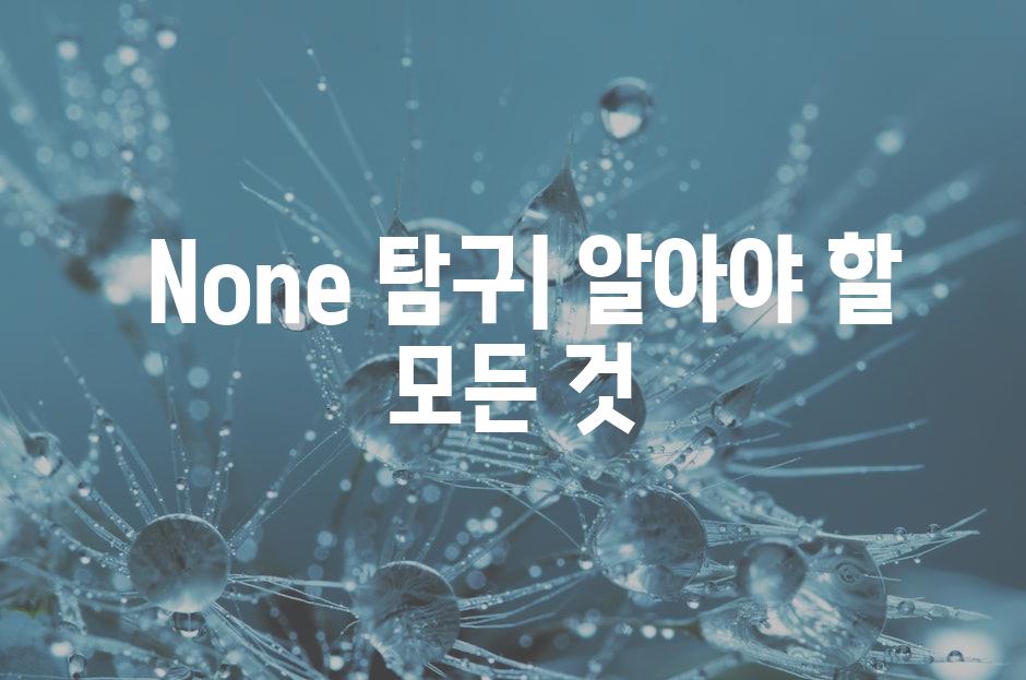  None 탐구| 알아야 할 모든 것