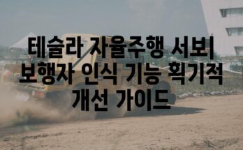 테슬라 자율주행 서보| 보행자 인식 기능 획기적 개선 가이드