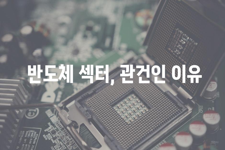 반도체 섹터, 관건인 이유