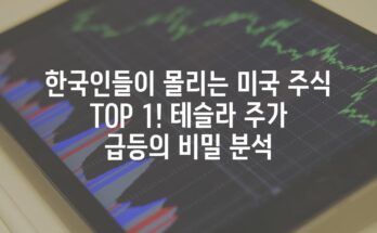 한국인들이 몰리는 미국 주식 TOP 1! 테슬라 주가 급등의 비밀 분석