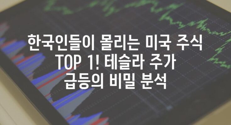 한국인들이 몰리는 미국 주식 TOP 1! 테슬라 주가 급등의 비밀 분석