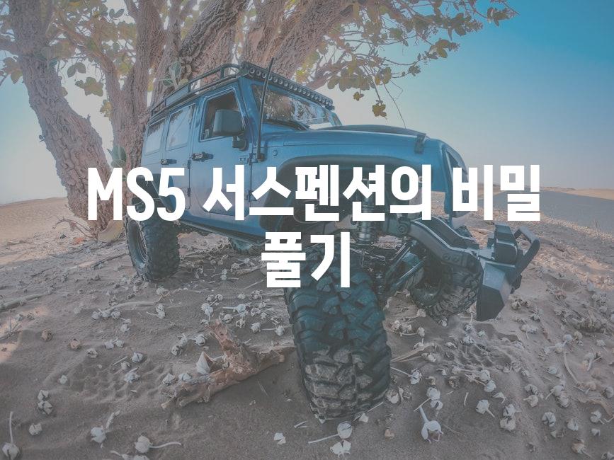  MS5 서스펜션의 비밀 풀기