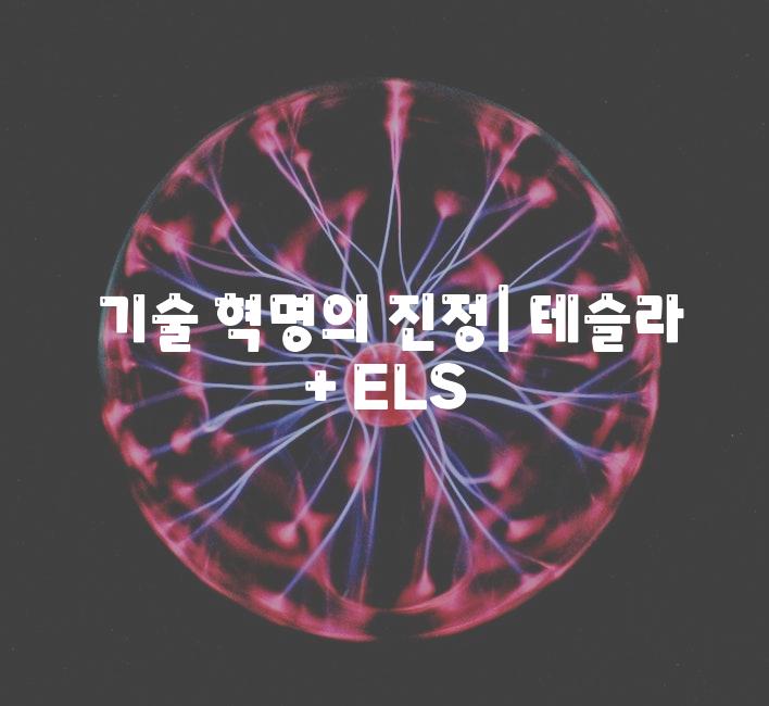  기술 혁명의 진정| 테슬라 + ELS