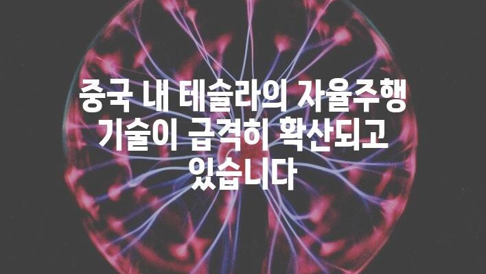 중국 내 테슬라의 자율주행 기술이 급격히 확산되고 있습니다