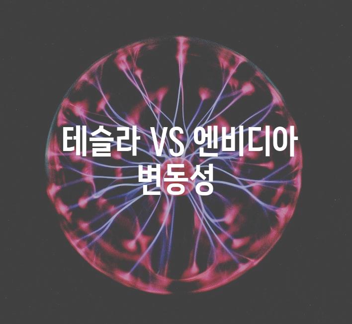  테슬라 VS 엔비디아 변동성