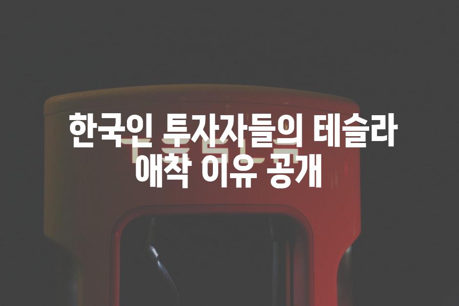  한국인 투자자들의 테슬라 애착 이유 공개