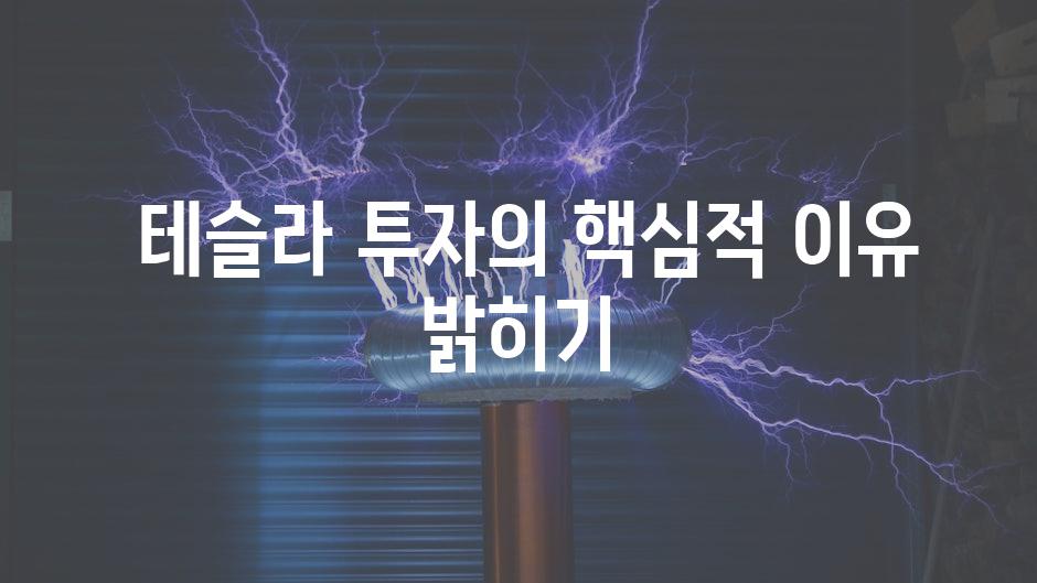  테슬라 투자의 핵심적 이유 밝히기