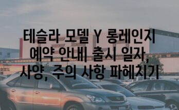 테슬라 모델 Y 롱레인지 예약 안내| 출시 일자, 사양, 주의 사항 파헤치기