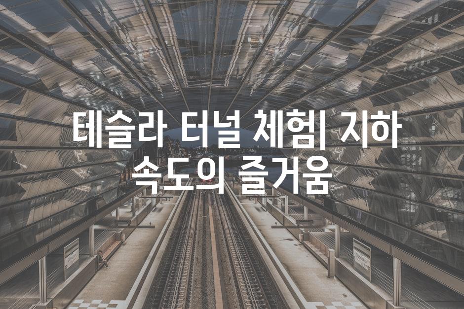  테슬라 터널 체험| 지하 속도의 즐거움