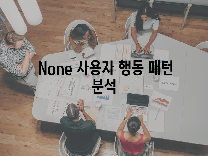  None 사용자 행동 패턴 분석