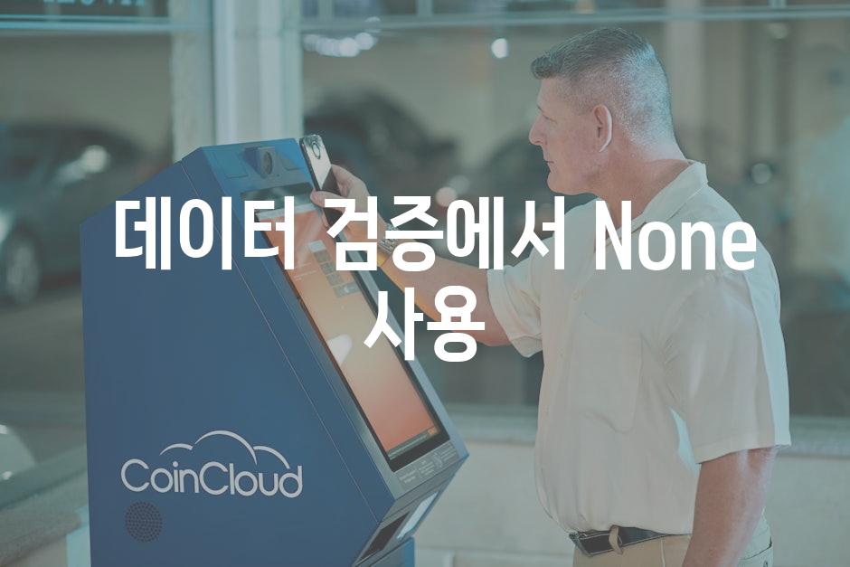  데이터 검증에서 None 사용