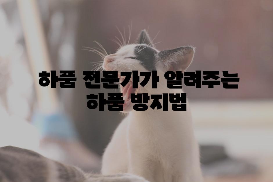  하품 전문가가 알려주는 하품 방지법