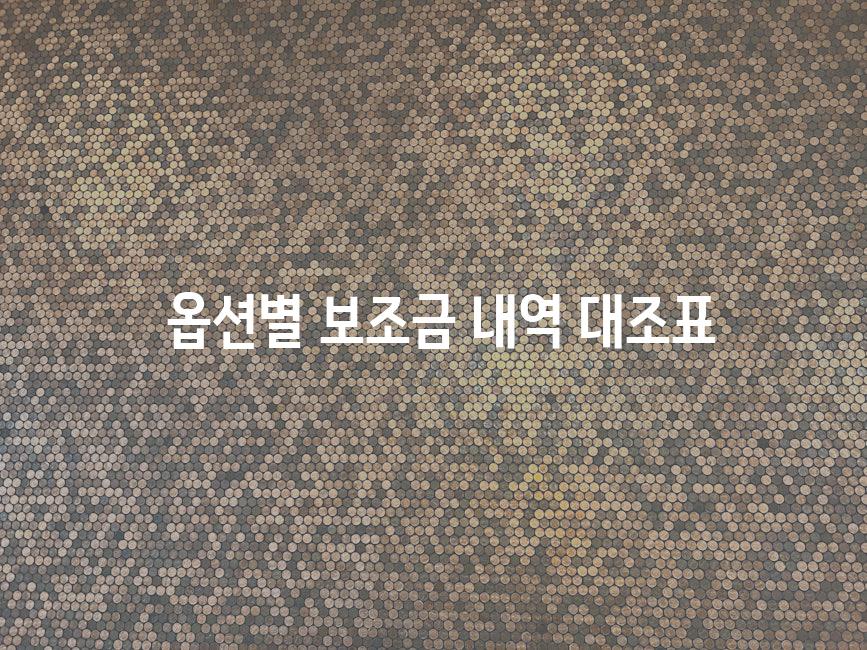  옵션별 보조금 내역 대조표