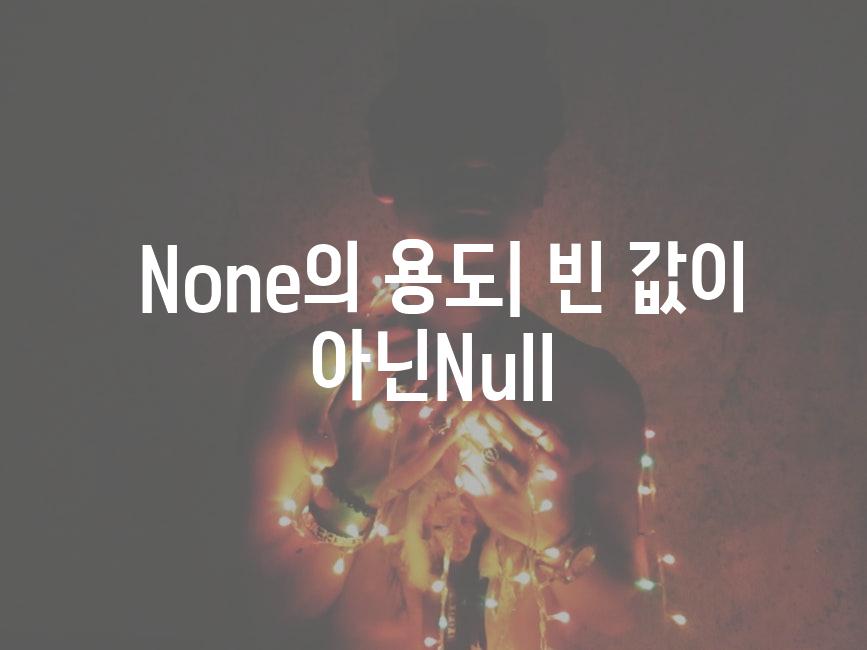  None의 용도| 빈 값이 아닌Null