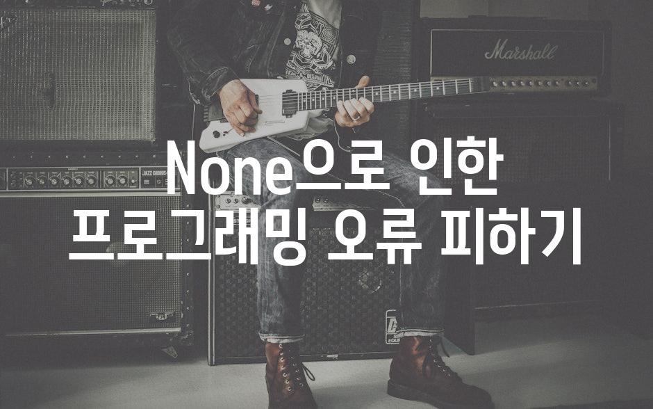  None으로 인한 프로그래밍 오류 피하기