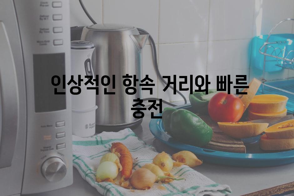  인상적인 항속 거리와 빠른 충전