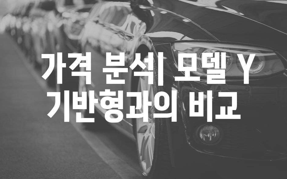  가격 분석| 모델 Y 기반형과의 비교