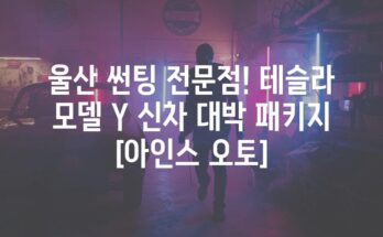 울산 썬팅 전문점! 테슬라 모델 Y 신차 대박 패키지 [아인스 오토]