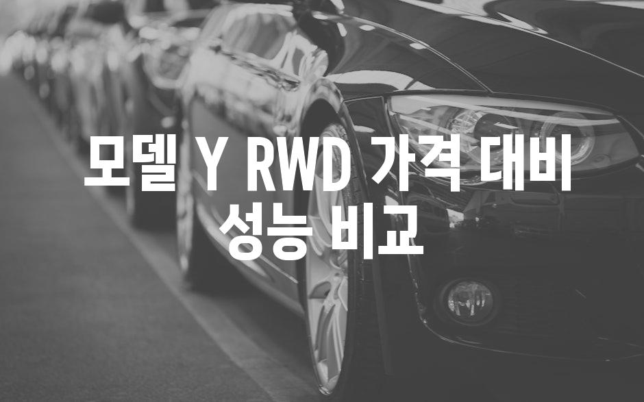  모델 Y RWD 가격 대비 성능 비교