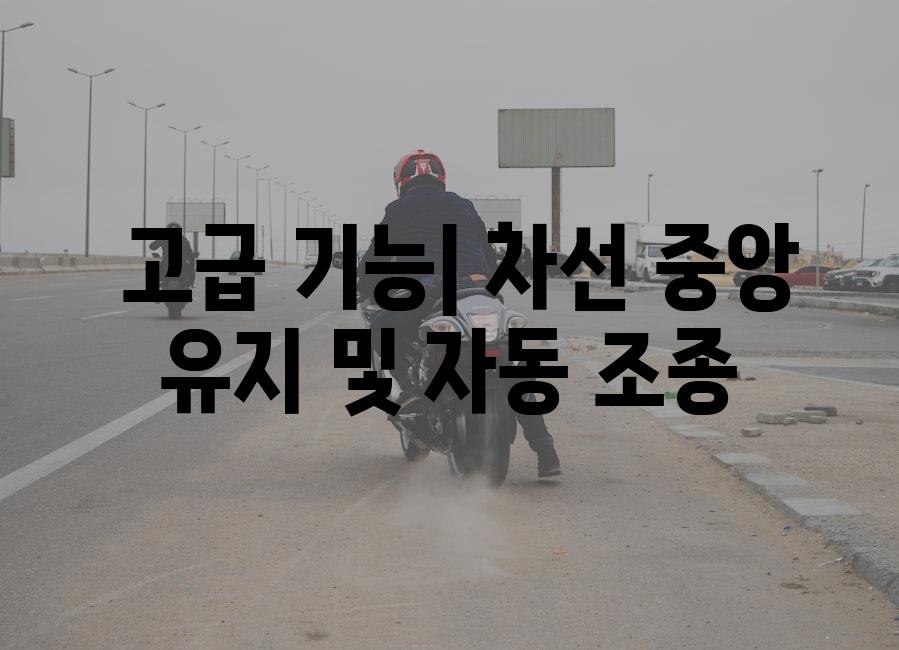  고급 기능| 차선 중앙 유지 및 자동 조종