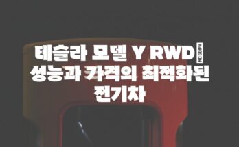 테슬라 모델 Y RWD| 성능과 가격의 최적화된 전기차