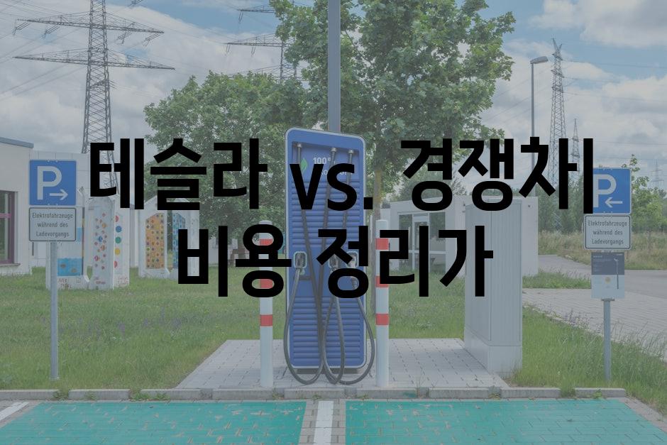  테슬라 vs. 경쟁차| 비용 정리가