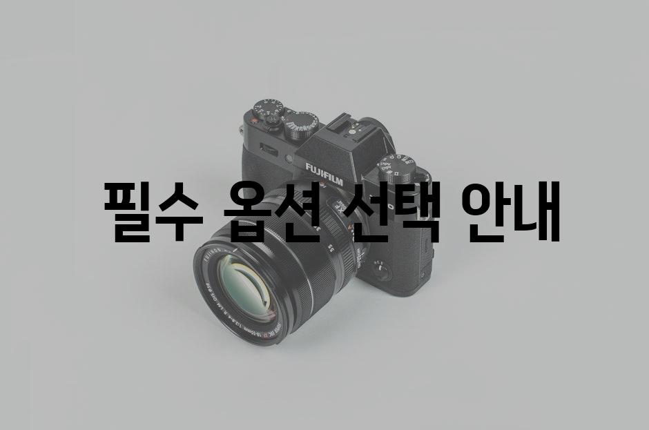  필수 옵션 선택 안내