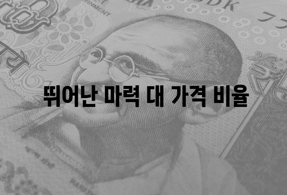  뛰어난 마력 대 가격 비율