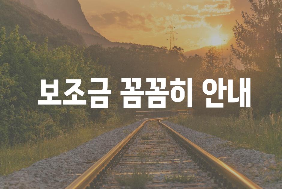  보조금 꼼꼼히 안내