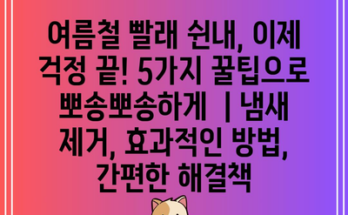 여름철 빨래 쉰내, 이제 걱정 끝! 5가지 꿀팁으로 뽀송뽀송하게  | 냄새 제거, 효과적인 방법, 간편한 해결책