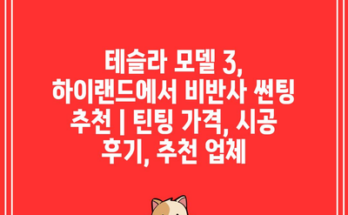 테슬라 모델 3, 하이랜드에서 비반사 썬팅 추천 | 틴팅 가격, 시공 후기, 추천 업체