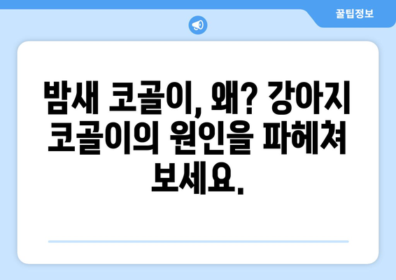 강아지 코골이, 숨겨진 비밀| 원인과 해결책 | 반려견, 수면 장애, 건강