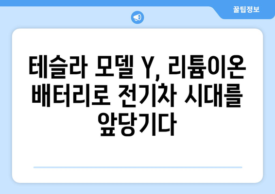 테슬라 모델 Y, 리튬이온 배터리 기술로 혁신과 지속 가능성을 이끌다 | 전기차, 배터리 기술, 친환경