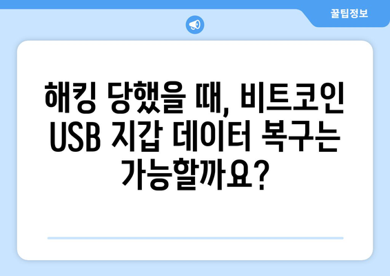 비트코인 USB 지갑 해킹 방지 & 대응 가이드 | 보안 강화, 데이터 복구, 안전한 사용 팁