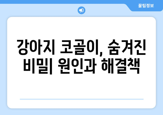 강아지 코골이, 숨겨진 비밀| 원인과 해결책 | 반려견, 수면 장애, 건강