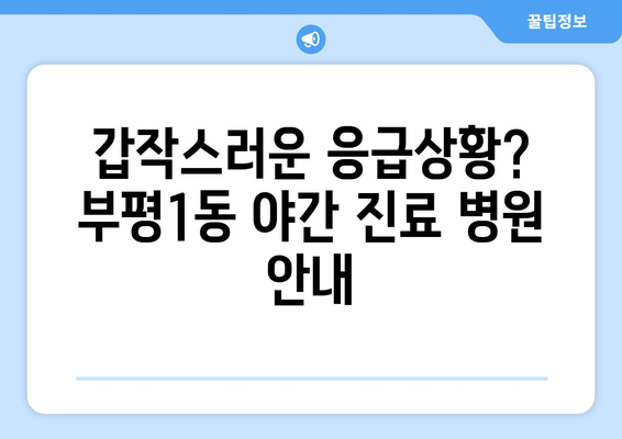 인천시 부평구 부평1동 일요일 휴일 공휴일 야간 진료병원 리스트