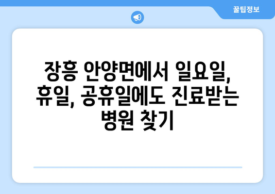 전라남도 장흥군 안양면 일요일 휴일 공휴일 야간 진료병원 리스트