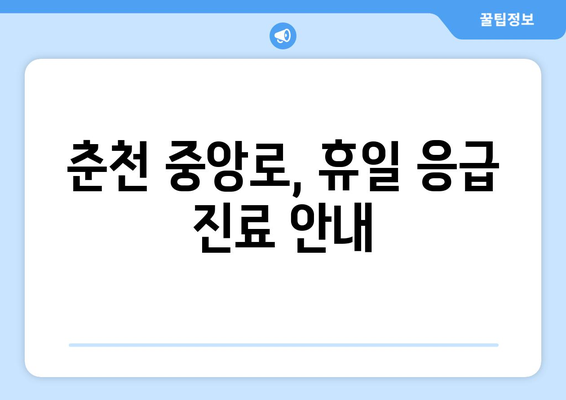 강원도 춘천시 중앙로 일요일 휴일 공휴일 야간 진료병원 리스트