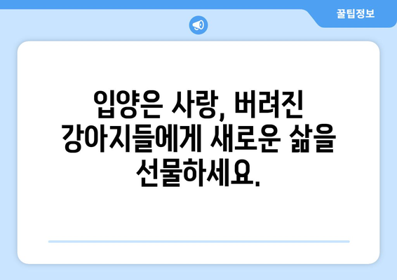 강아지 유기, 잔혹한 현실과 우리의 책임| 더 나은 동물 복지 사회를 향하여 | 유기 동물, 동물 학대, 책임감, 입양