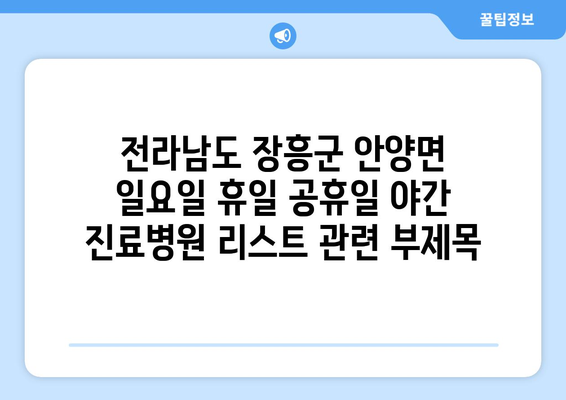 전라남도 장흥군 안양면 일요일 휴일 공휴일 야간 진료병원 리스트